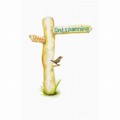 Jouw natuur - Intuïtieve wandelcoaching