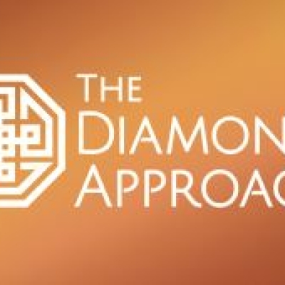 Diamond Approach® Leraren in Nederland